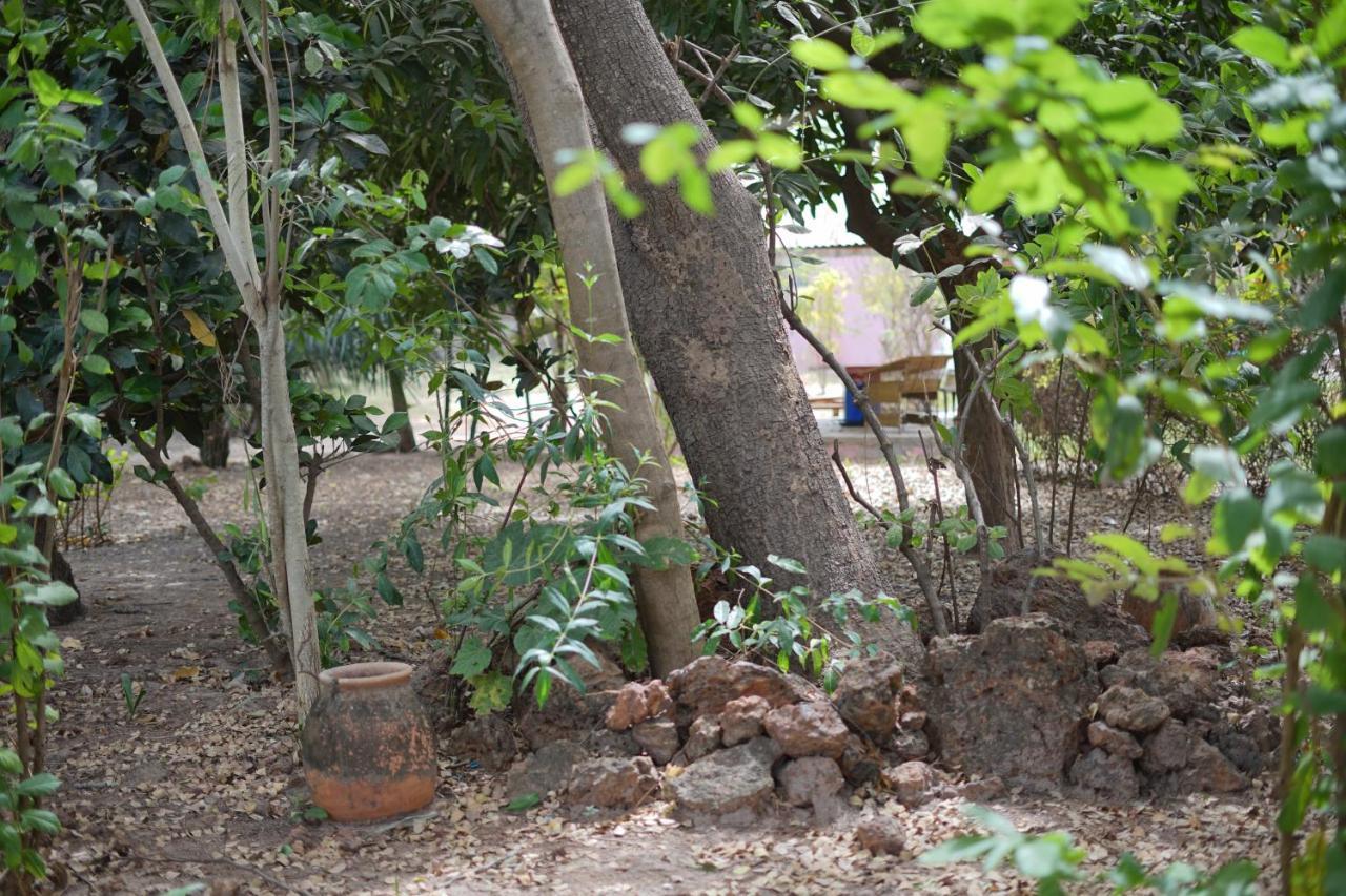 Villa Amarant - Private Garden With Pool Retreat Sanyang Екстериор снимка
